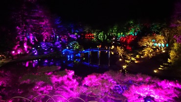 DSC_0262.JPG